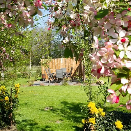 Morskershoeve 3* Meddo