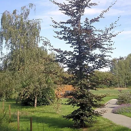 Panzió Morskershoeve