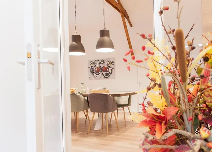 Bed & Breakfast Morskershoeve Meddo