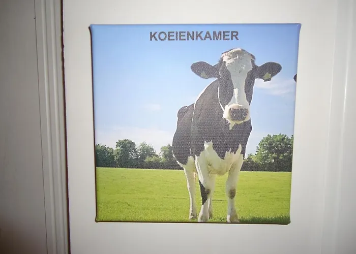 Bed & Breakfast Morskershoeve Meddo