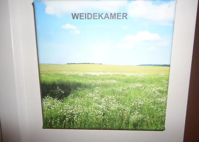 Morskershoeve Bed & Breakfast Meddo