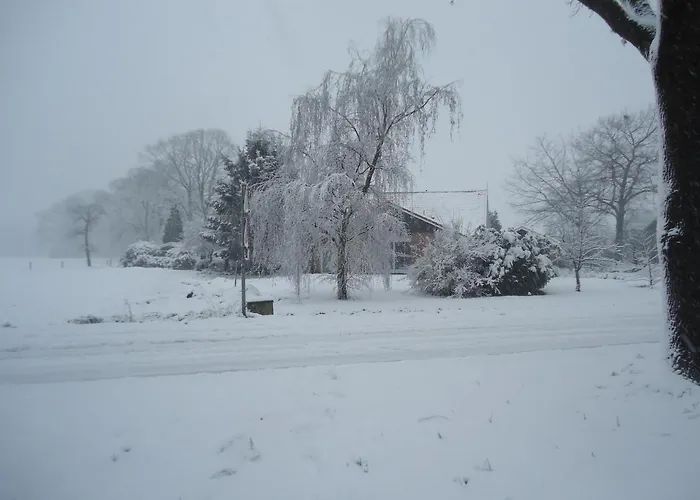 Bed & Breakfast Morskershoeve Meddo