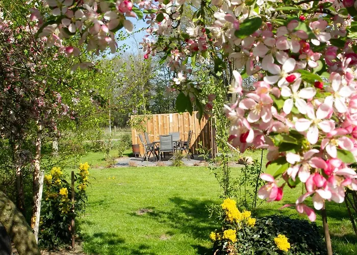 Morskershoeve 3* Meddo