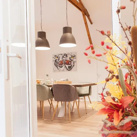 Bed & Breakfast Morskershoeve Meddo