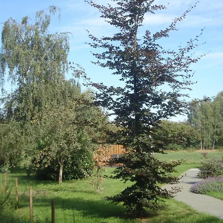 Morskershoeve Bed & Breakfast